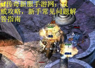 sf传奇新服手游网：权威攻略，新手常见问题解答指南