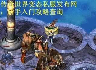传奇世界变态私服发布网：新手入门攻略查询 第1张