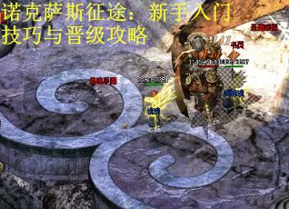诺克萨斯征途：新手入门技巧与晋级攻略