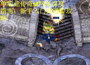 单职业传奇sf网站深度指南：新手入门到进阶攻略