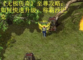 《无极传奇》至尊攻略：如何快速升级，称霸沙巴克 第2张