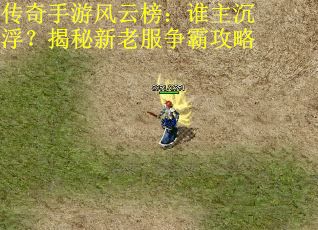 传奇手游风云榜：谁主沉浮？揭秘新老服争霸攻略