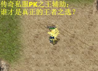 传奇私服PK之王辅助：谁才是真正的王者之选？