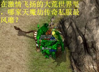 在激情飞扬的大荒世界里，哪家天魔劫传奇私服最风靡？ 第3张