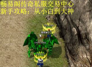 畅易阁传奇私服交易中心新手攻略：从小白到大神