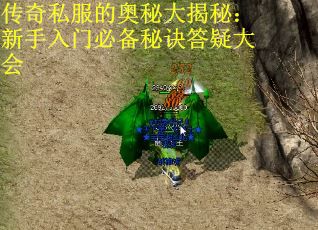 传奇私服的奥秘大揭秘：新手入门必备秘诀答疑大会