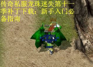 传奇私服龙珠迷失第十一季补丁下载：新手入门必备指南