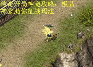 传奇开局神宠攻略：极品神宠助你征战玛法 第2张