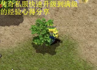 传奇私服快速升级到满级的经验心得分享 第3张