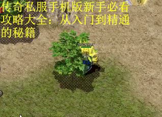 传奇私服手机版新手必看攻略大全：从入门到精通的秘籍