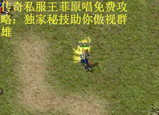 传奇私服王菲原唱免费攻略：独家秘技助你傲视群雄