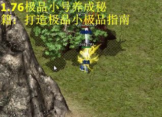 1.76极品小号养成秘籍：打造极品小极品指南 第3张