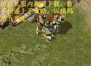 传奇私服内测版下载：新手快速上手攻略，纵横玛法五步走