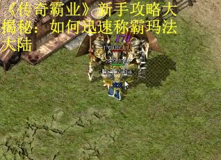 《传奇霸业》新手攻略大揭秘：如何迅速称霸玛法大陆 第2张