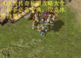 《冰雪传奇私服攻略大全：新手必备宝典，攻克冰雪世界》