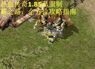热血传奇1.85私服制霸之路：全方位攻略指南