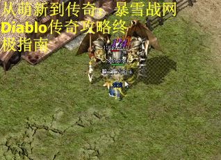 从萌新到传奇：暴雪战网Diablo传奇攻略终极指南
