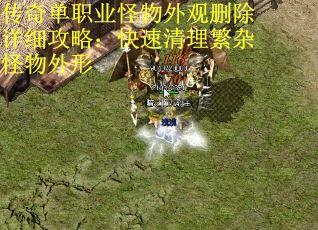 传奇单职业怪物外观删除详细攻略：快速清理繁杂怪物外形 第2张