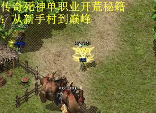传奇死神单职业开荒秘籍：从新手村到巅峰 第2张