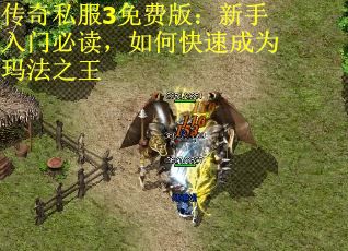 传奇私服3免费版：新手入门必读，如何快速成为玛法之王