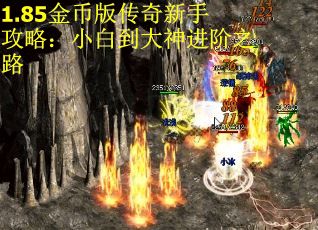 1.85金币版传奇新手攻略：小白到大神进阶之路 第1张