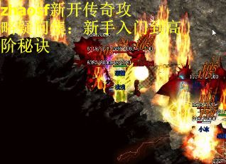 zhaosf新开传奇攻略疑问集：新手入门到高阶秘诀