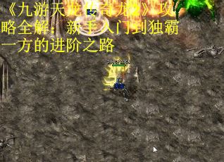 《九游天龙传奇龙2》攻略全解：新手入门到独霸一方的进阶之路