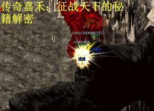 传奇嘉禾：征战天下的秘籍解密