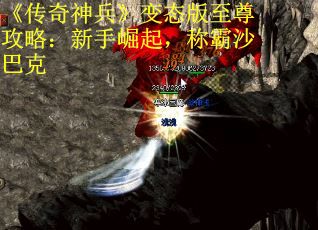 《传奇神兵》变态版至尊攻略：新手崛起，称霸沙巴克 第2张