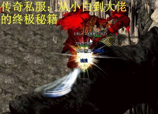 传奇私服：从小白到大佬的终极秘籍