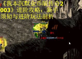 《我本沉默金币版传奇2003》进阶攻略：新手须知与进阶玩法剖析
