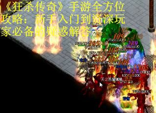 《狂杀传奇》手游全方位攻略：新手入门到资深玩家必备的疑惑解答