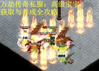 万劫传奇私服：高级宝宝获取与养成全攻略 第2张
