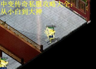 中变传奇私服攻略大全：从小白到大神