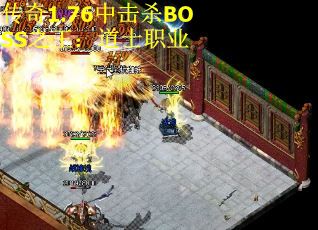 传奇1.76中击杀BOSS之王：道士职业
