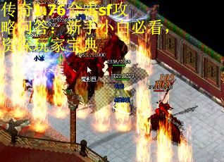 传奇1.76合击sf攻略问答：新手小白必看，资深玩家宝典 第3张