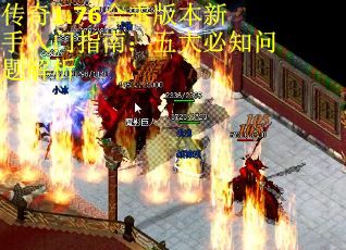 传奇1.76合击版本新手入门指南：五大必知问题解析