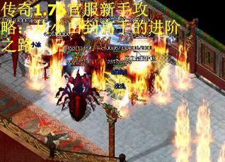 传奇1.76官服新手攻略：从小白到高手的进阶之路