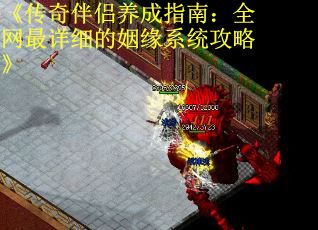 《传奇伴侣养成指南：全网最详细的姻缘系统攻略》 第2张
