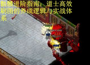骷髅进阶指南：道士高效刷图的养成逻辑与实战体系 第2张